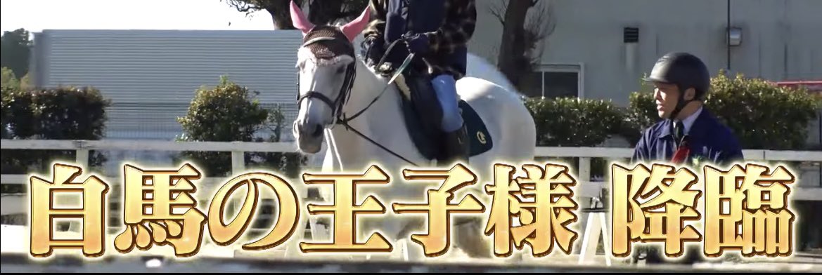 よはく tweet media