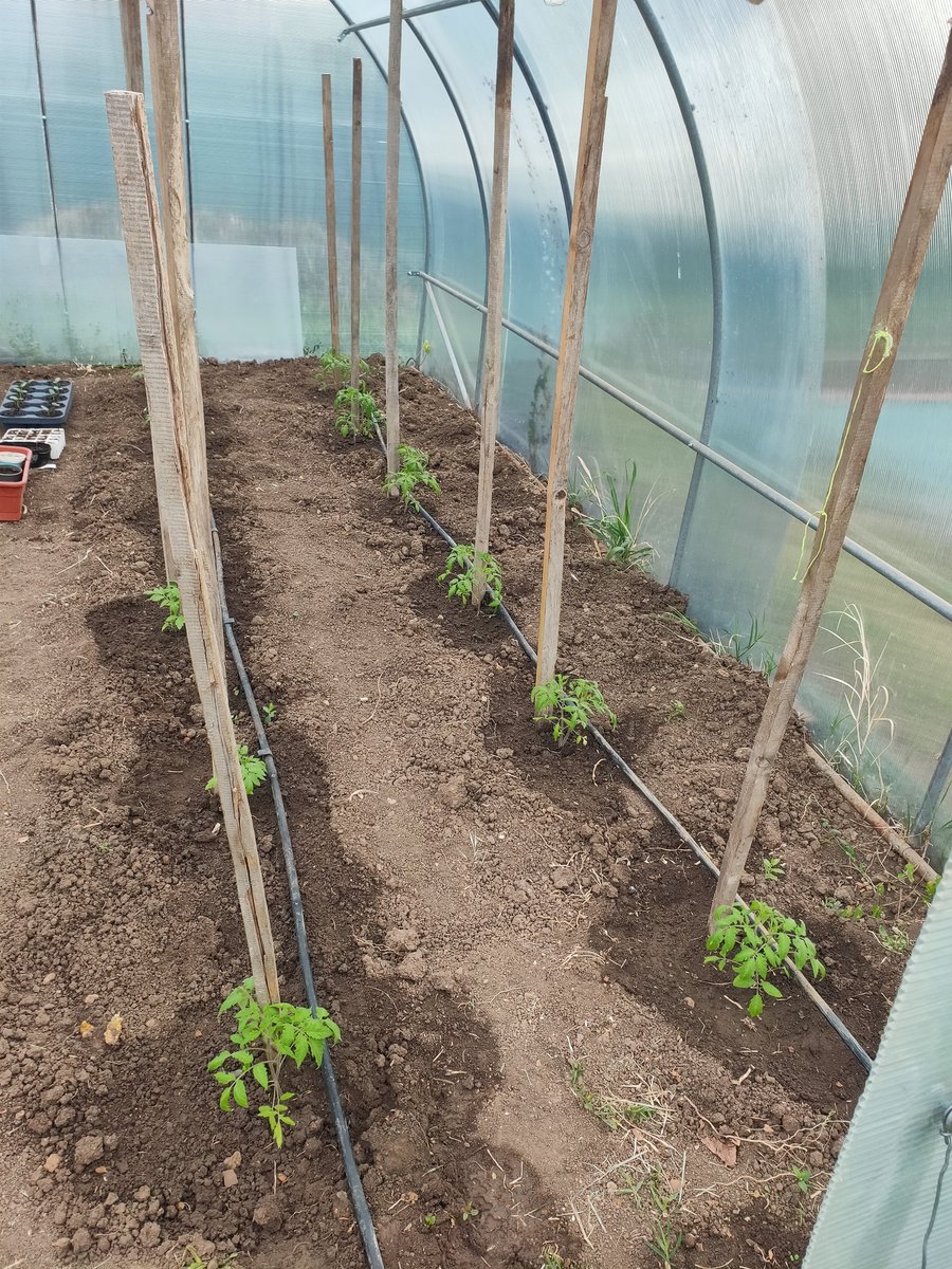 Move2Bulgaria's tweet photo. Combat raising fruits and vegetables prices by growing your own. Mother nature is on your side. https://t.co/kuTk2A8YoK