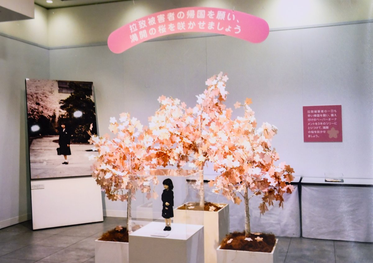 拉致問題の解決を願い、横田めぐみさんの写真展を開催された方々が、母・早紀江さんとともに木原官房長官を訪ねられました。写真展には、めぐみさんの母校の桜をイメージしたツリーが置かれ、一日も早いめぐみさんの帰国を望む来場者のメッセージを寄せた花びらを模したカードで満開になったそうです。