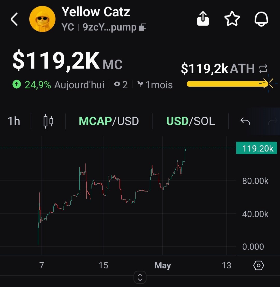 Yellowcatz_'s tweet photo. New ATH 👊🐱

The run is safe.
No insiders here.
We’re doing things differently. 
$YC https://t.co/23hITgpty6