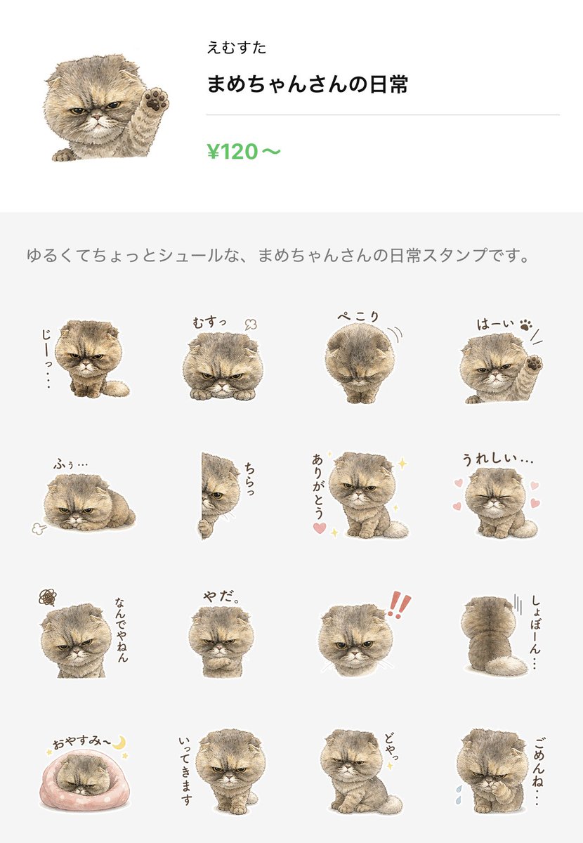 miyabino__'s tweet photo. 初めてLINEスタンプ作りました🐱
むすっと顔の猫スタンプです。

こういうの、使ってみたい人いる…？

https://t.co/CdRMvwjI1k https://t.co/ayZgW6l6U3