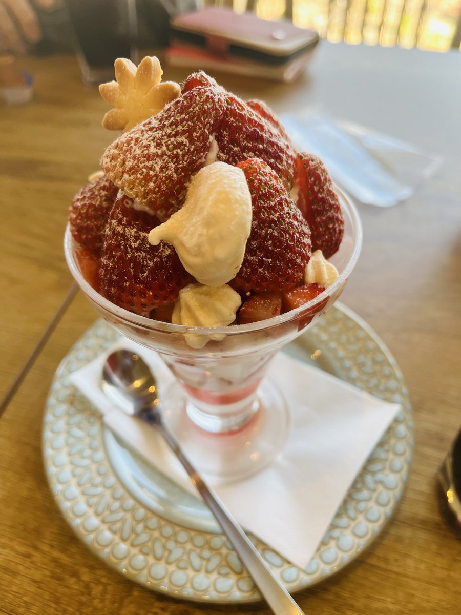 jmqss's tweet photo. 2ヶ月のハイライト

岐阜タンメン食べていちごパフェ食べて髪切った https://t.co/pvyS86Ipt1