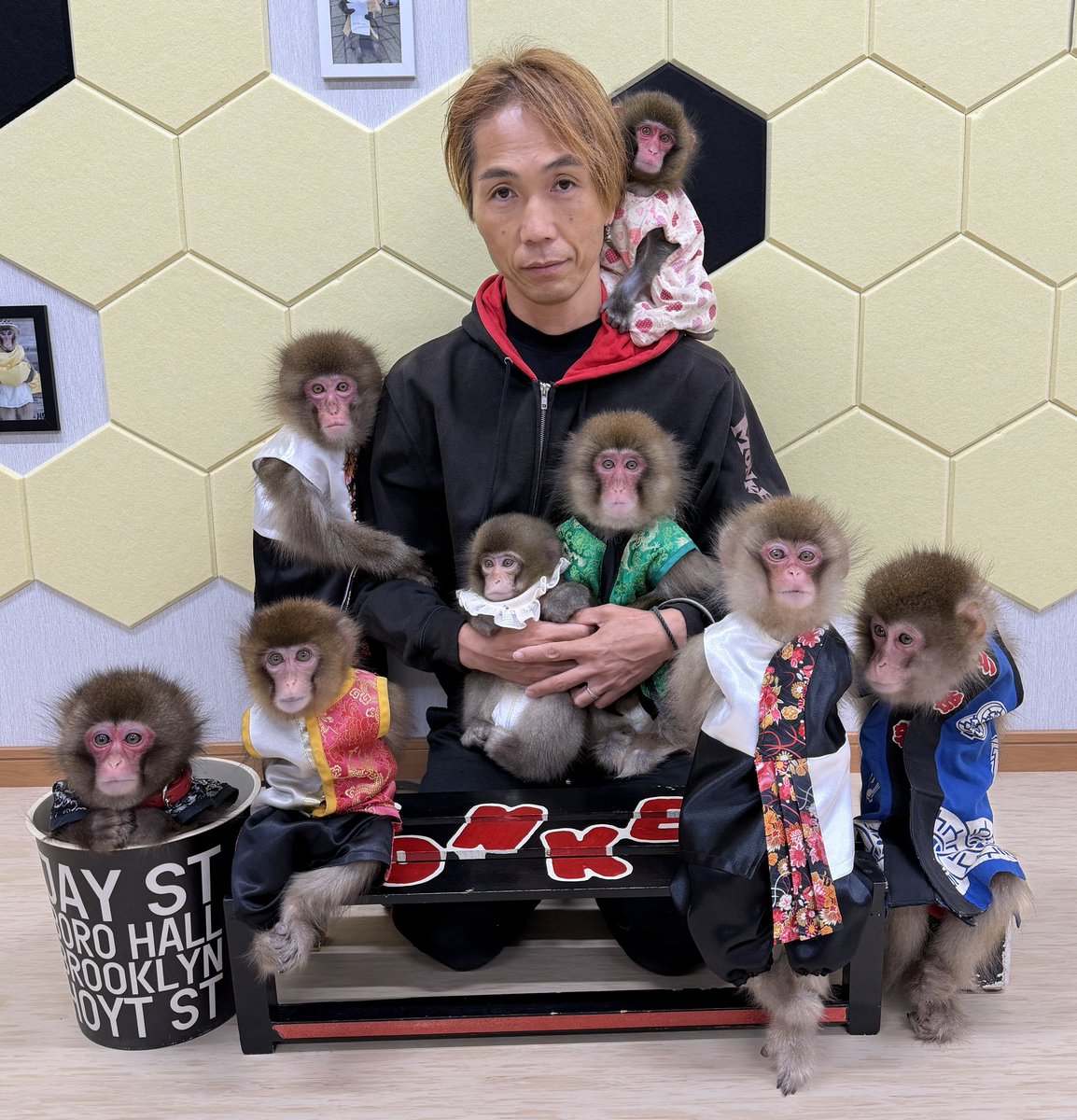 monkikids's tweet photo. 🎉 祝！YouTubeチャンネル登録者1万人達成！ 🎉

日頃の感謝を込めて、記念ライブを開催します！
📅 5月16日(土) 19:30〜

皆様の参加をお待ちしております！🐒🔥

#モンキーエンターテイメント #1万人達成 #モン民 #YouTubeライブ #感謝 https://t.co/xr1oU1GHwy