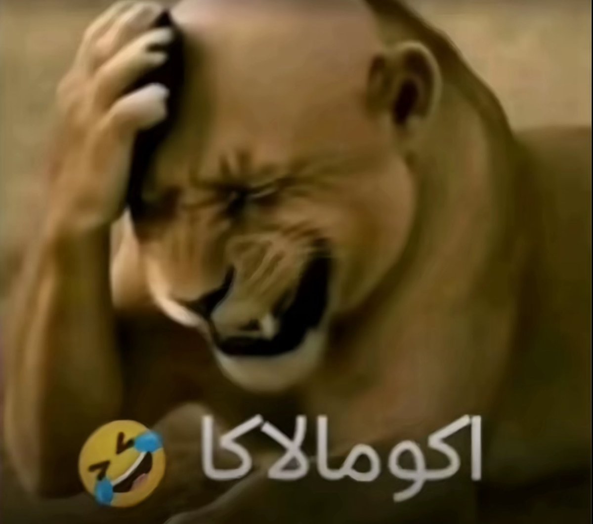 بندر tweet media