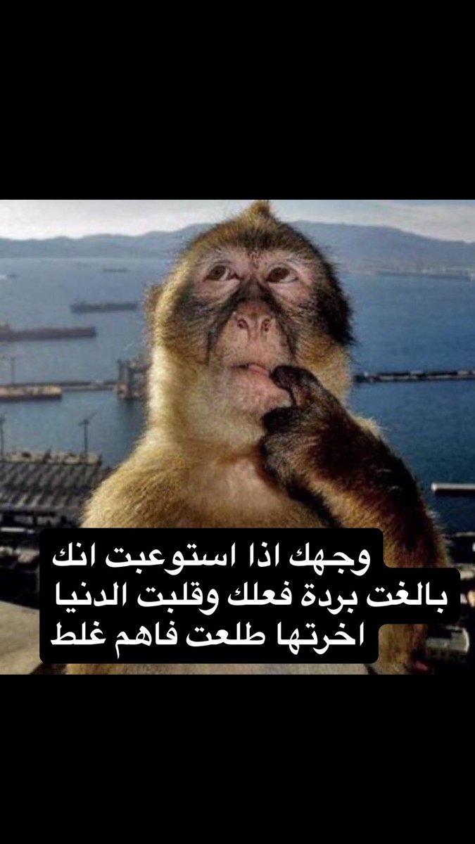 pzi518's tweet photo. @Dn___q @azzamjass https://t.co/EhPaZHb3zB