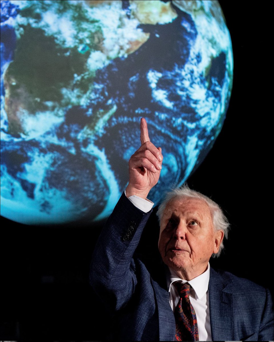 AviSakh's tweet photo. Happy 100th Birthday Sir David Attenborough! 

#DavidAttenborough https://t.co/O5zhFtCZ34