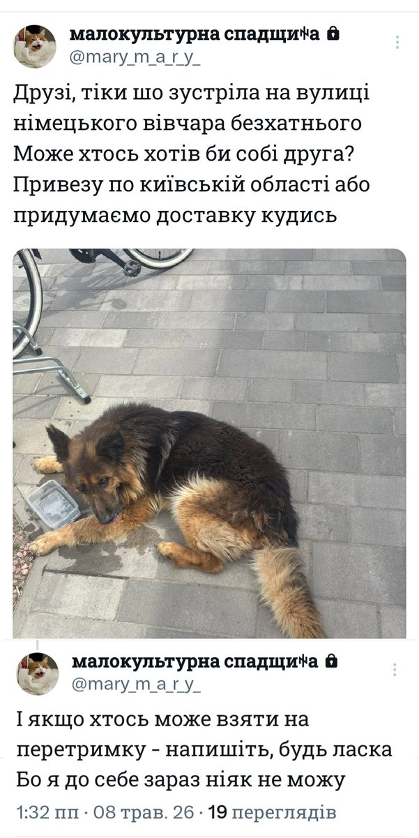 Поможіть песу знайти домівку, заберіть собі, або якщо можете - візьміть на перетримку

Якщо по області Київській, пані <a href="/mary_m_a_r_y_/">малокультурна спадщиꑭа</a> привезе