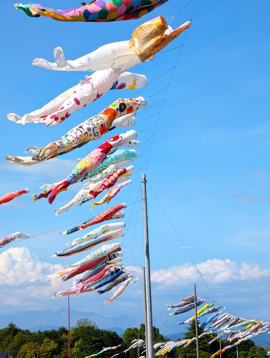 srk4785's tweet photo. 赤堀せせらぎ公園の
「粕川の鯉のぼり（堀下鯉のぼり）」
5月10日（日）まで🎏 
２０２６年５月７日   
 群馬県伊勢崎市堀下町  
#群馬県 #伊勢崎市 #こいのぼり 
#写真好きな人と繋がりたい #写真撮ってる人と繋がりたい #ファインダー越しの私の世界 https://t.co/3Byckb1IPf
