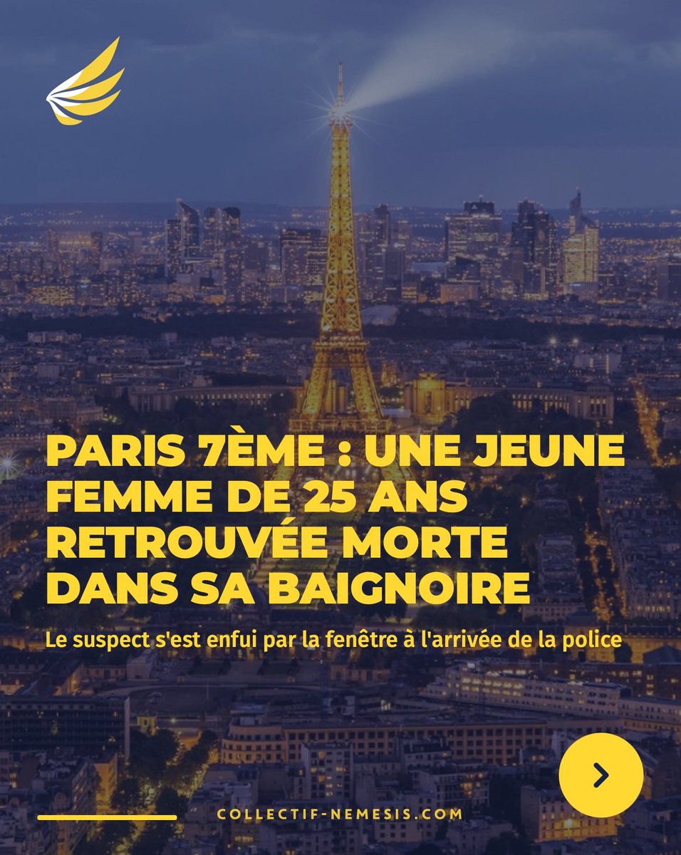 Collectif Némésis tweet media