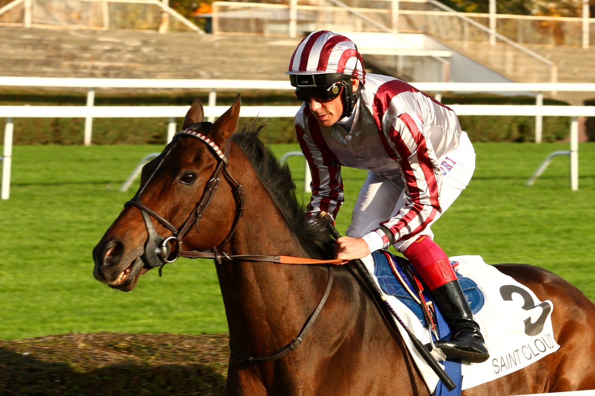 Equidia tweet media