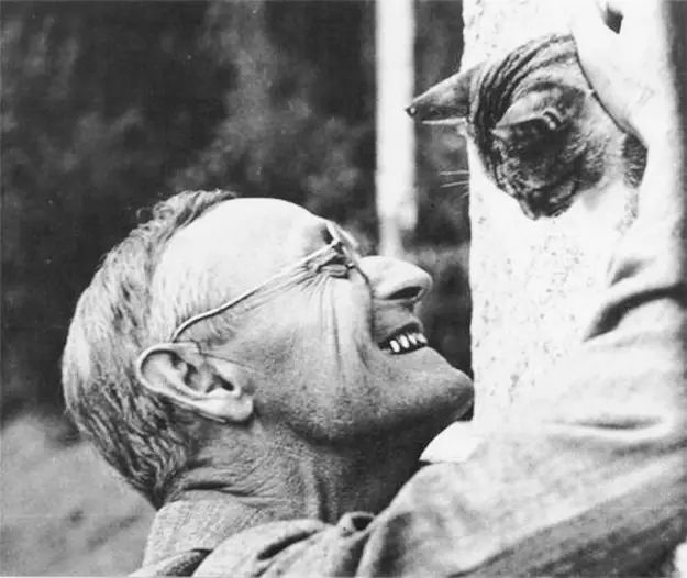Hesse Philosophy tweet media