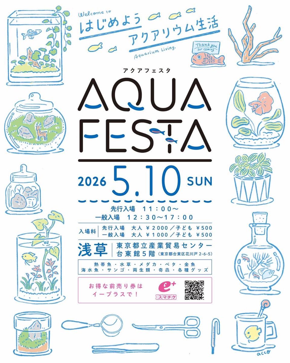 abi4747's tweet photo. 日曜日のAQUAFESTAの準備中〜
生体の前に小物を少々！シュリンプ、プレコのエサ飼育用品もご用意します。
新発売のマスターフレークも販売します。
無農薬やスネールのいない水草もえびちゃんのお供にどうぞ♪
生体はバッチリ良い子連れて行きますよ😊
#AQUAFESTA #浅草 #シュリンプ #プレコ https://t.co/Ldu3aDa2Kr