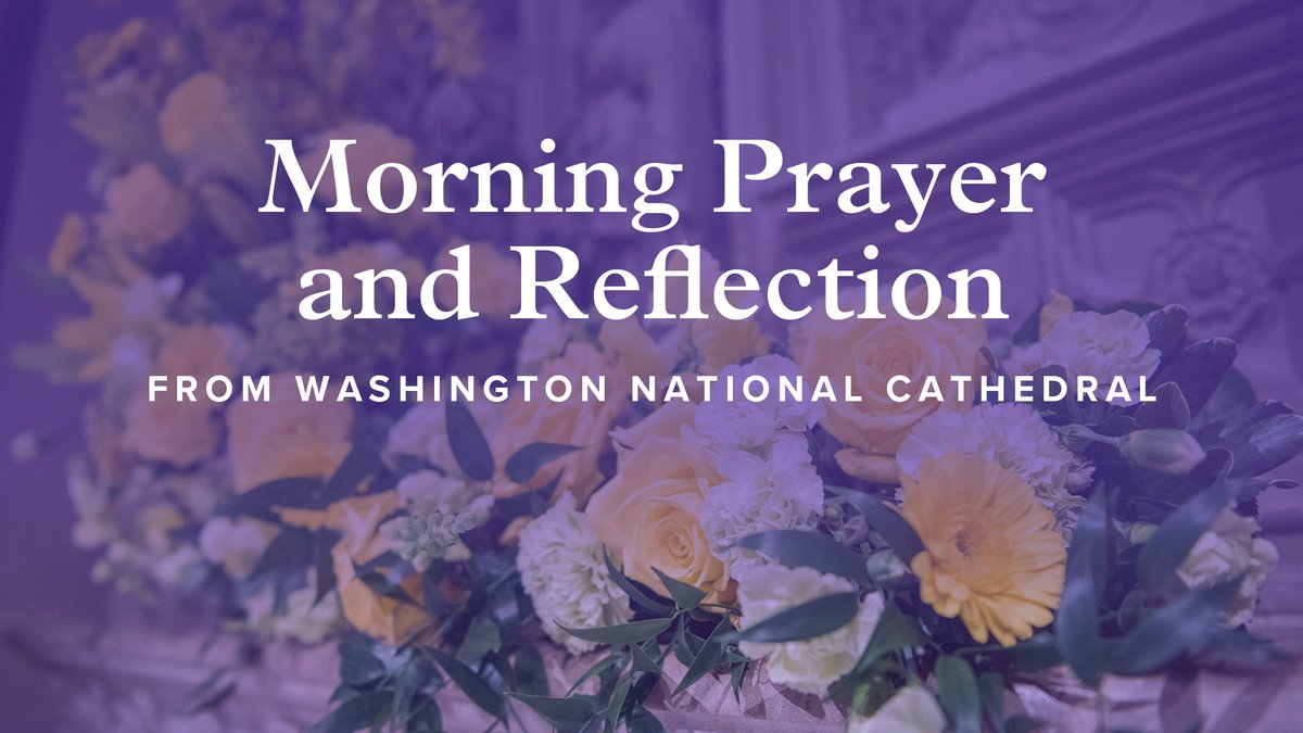 Washington National Cathedral tweet media
