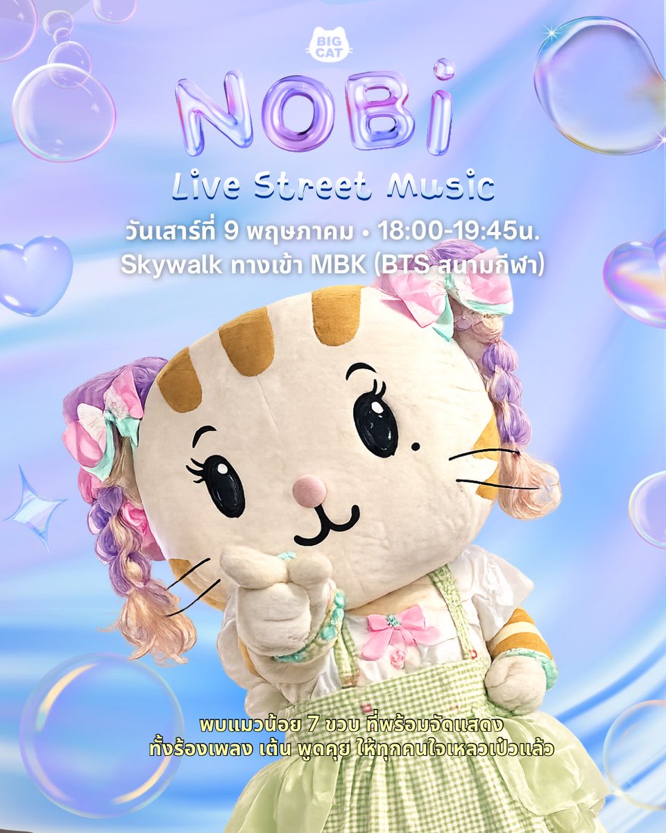 NobiBigCat tweet media