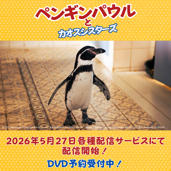Chanceintwt's tweet photo. 近すぎるからこそ、見失ってしまうもの。 
そんな家族の距離を縮めてくれたのは“一羽のペンギン”でした🐧✨

にぎやかで、少し不器用な姉妹たちと可愛いペンギン・パウルの心温まる物語。

映画『ペンギンパウルとカオスシスターズ』
⏬詳細はこちら
https://t.co/g6S5j8EoH2 https://t.co/tT4xmvdTOO