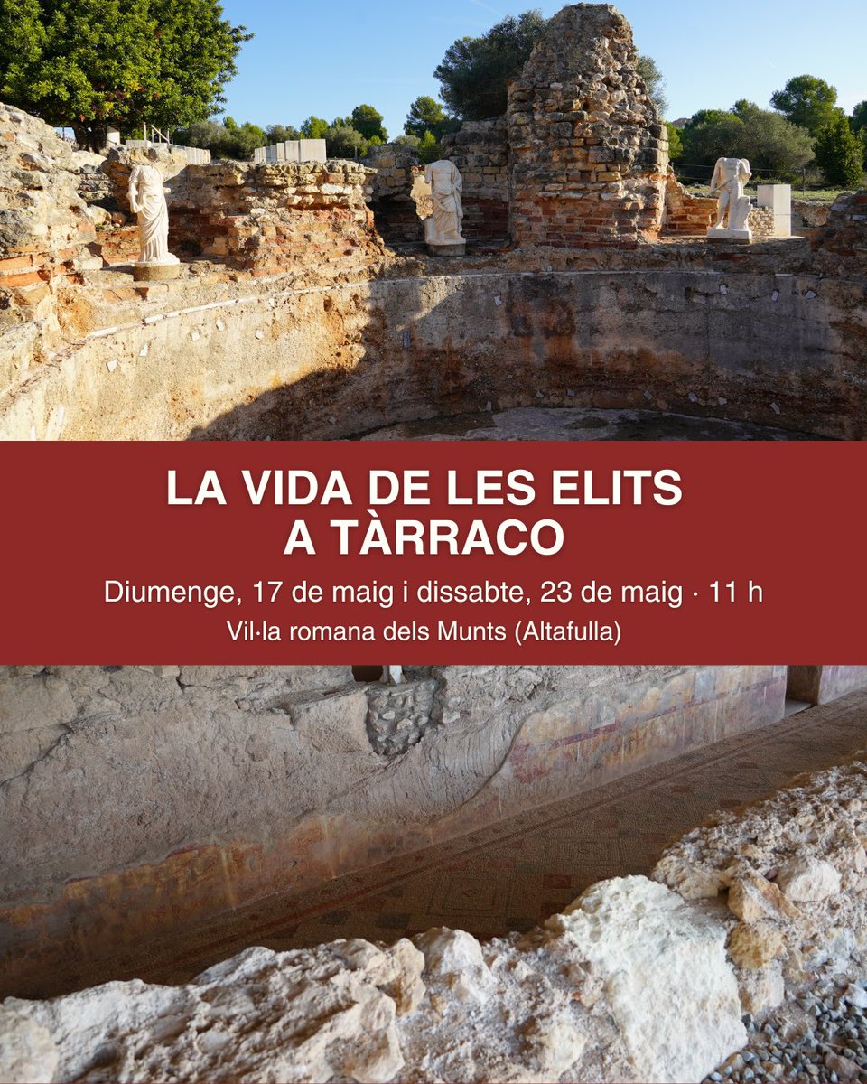 MNATTGN's tweet photo. TARRACO VIVA | Itineraris per descobrir Tàrraco 🏛️

Tens ganes de fer un viatge en el temps? Et proposem diferents itineraris per endinsar-te en la història de Tàrraco a través dels seus espais.

✍️ Activitats gratuïtes amb reserva prèvia a https://t.co/ZSppfuCyqM https://t.co/B6hQpUzp9u