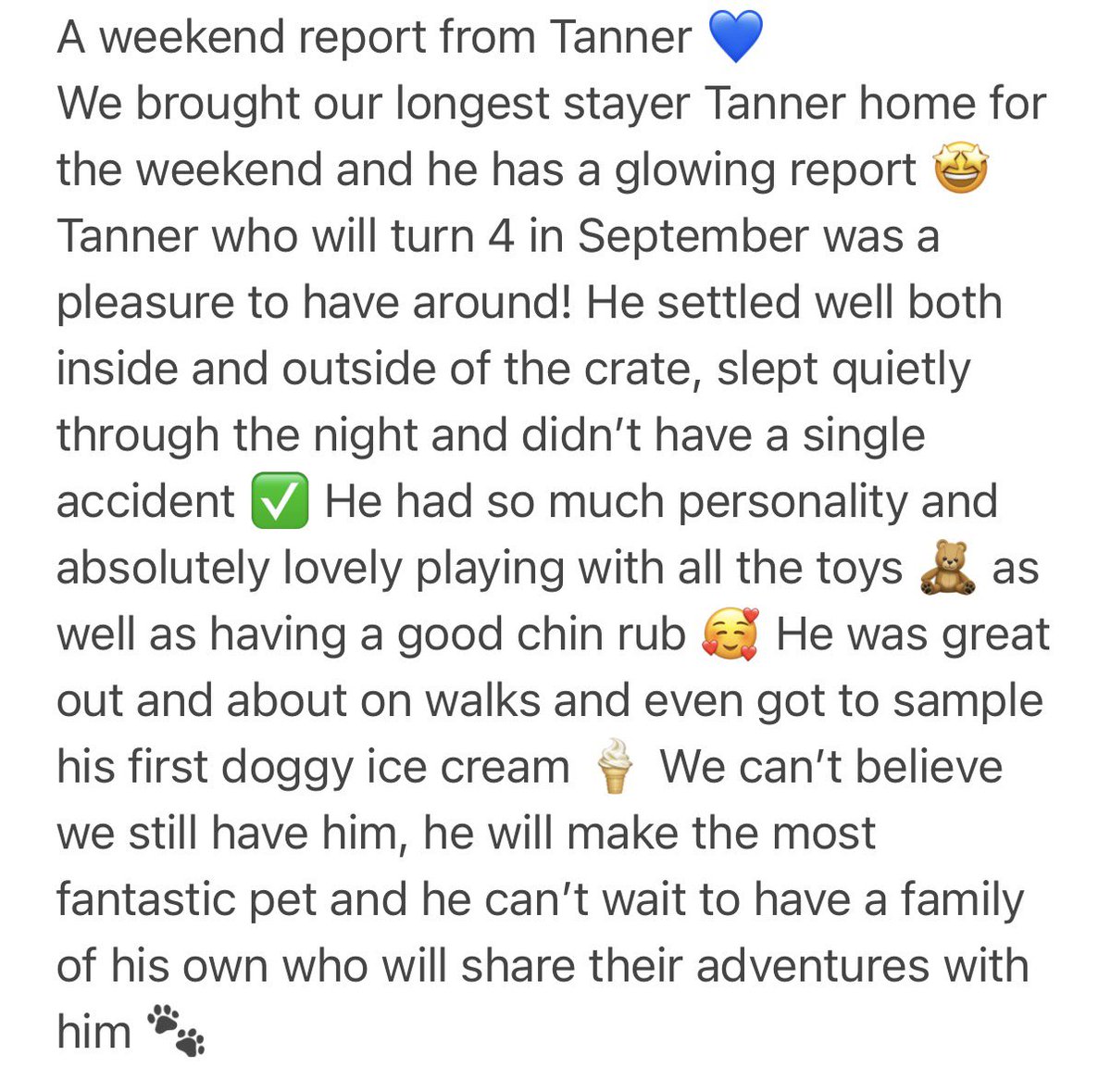 Livi_Noble's tweet photo. Please share lovely Tanner 💙 He is our longest stayer, we don’t know why 💔😭 he raced @RomfordDogs and was called #TwoSovereigns 🐾
A happy &amp; affectionate boy who has so so much to give 🥰 
Based at our Epping LGT Branch but will travel for the right home 🏡 @LincsGreyhounds https://t.co/65NfAoYxgv