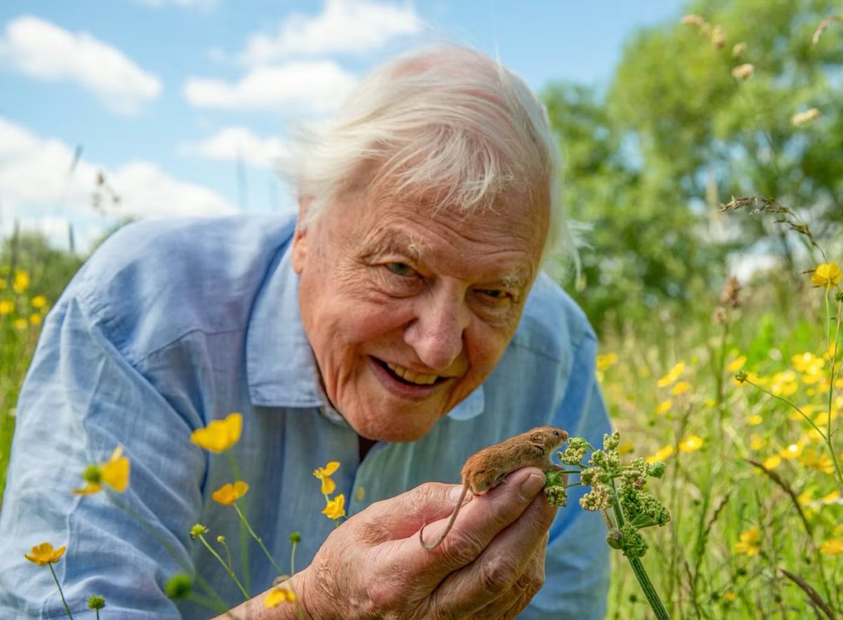Lego has updated their age range from the years of 4-99 in honour of Sir David Attenborough’s 100th birthday:

“There’s no age limit for those who never stop playing”