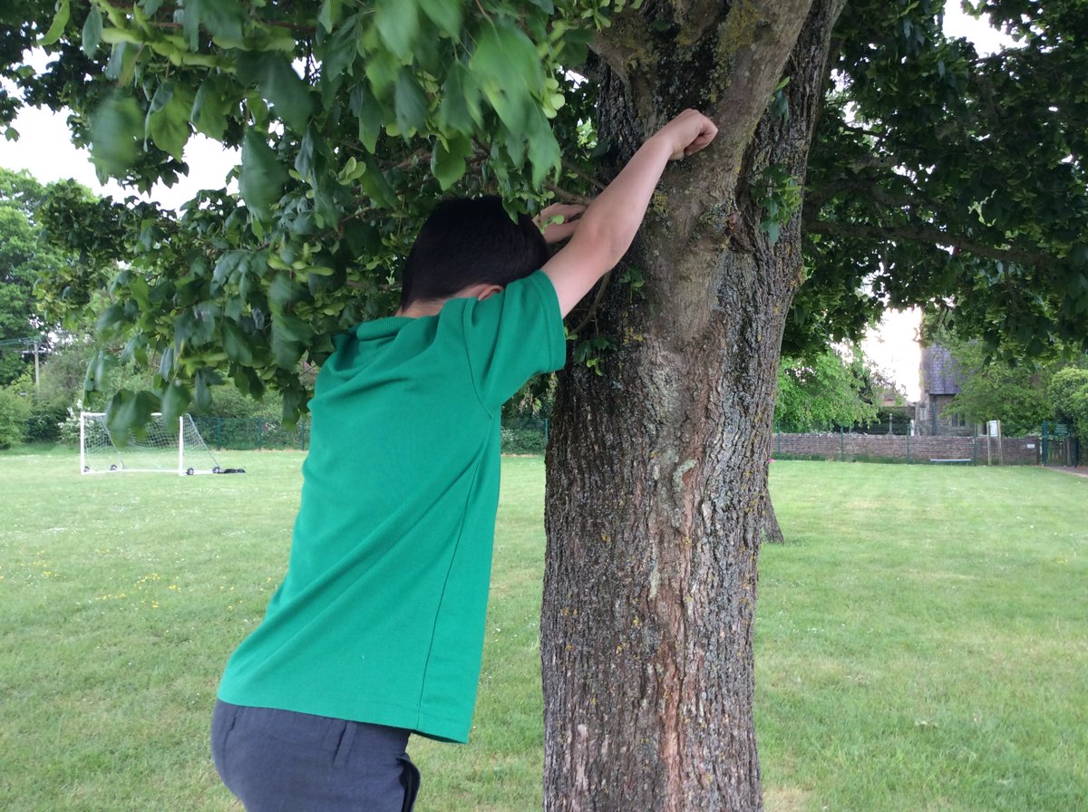 puller_memorial's tweet photo. Chestnut Class loved the story of Zacchaeus 📖🌳 They re-enacted it outdoors, climbing trees and imagining being Zacchaeus looking down at Jesus. A fun, hands-on way to bring the Bible story to life! ✨ https://t.co/PJFB5XNMwr