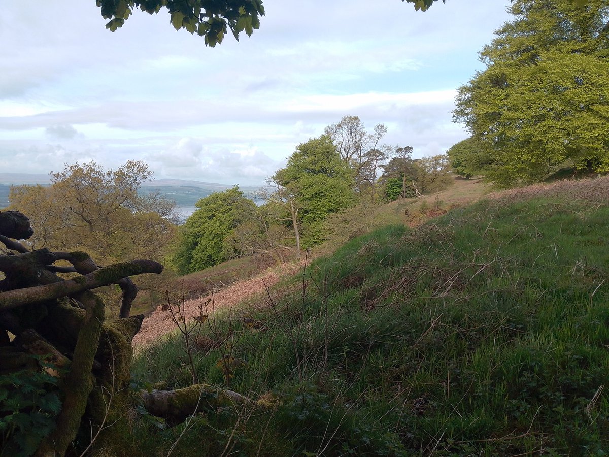 KilpatrickBraes's tweet photo. Good morning...not the best bimble as body would not perform..very painful and difficult..Met up with Jim for the last couple of miles for a bleather.. #bimble #kilpatrickhills #fibromyalgia #tough #oldgit https://t.co/EPbd8EVWKe