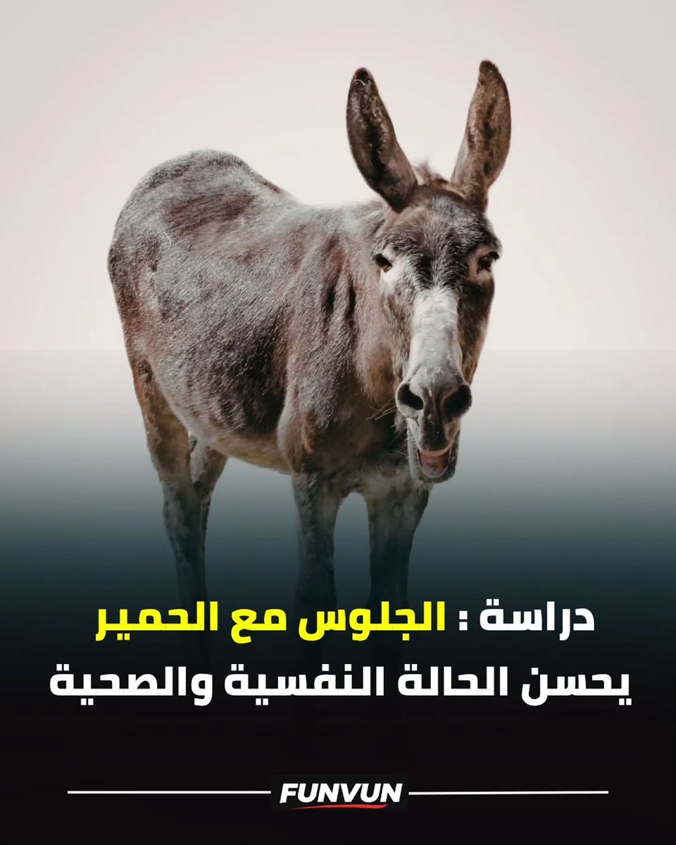 assyfee777's tweet photo. #دراسة الجلوس مع الحمير يحن من حالتك المزاجية 😁

#صباح_الخير #يوم_الجمعة #المسيرة_عاجل https://t.co/tDbdhdjc66