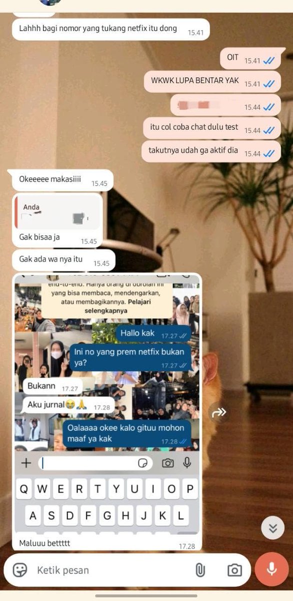 yla tweet media