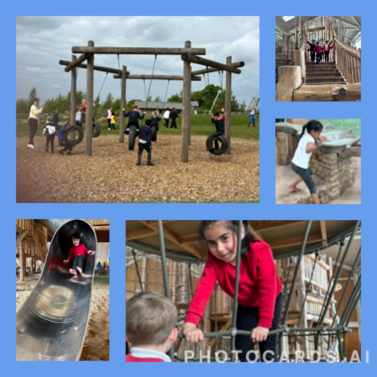 Town Field Primary School tweet media