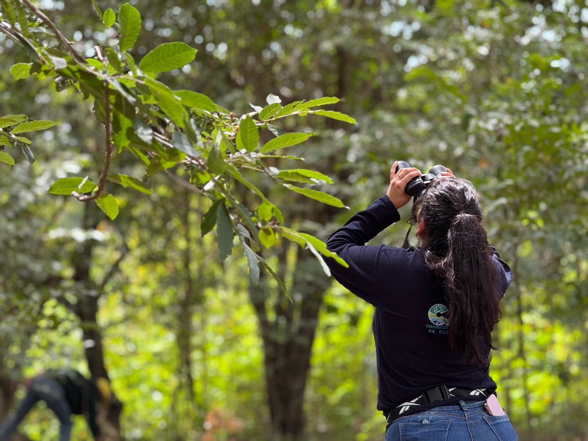 Alfred_Balle's tweet photo. ¡En Cundinamarca nos unimos al #GlobalBigDay2026!

En la @CAR_Cundi habilitaremos 29 puntos de avistamiento de aves en humedales, lagunas, reservas y páramos del territorio. 

Colombia lidera la diversidad de aves en el mundo y Cundinamarca alberga 663 especies registradas.

Disfrutemos de este plan para apreciar la riqueza de nuestro territorio este 9 de mayo.

Inscríbete aquí: https://t.co/T80ZHf1Stk