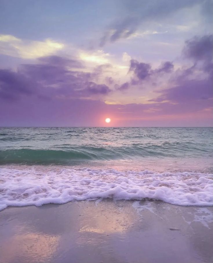 arryuppi's tweet photo. purple sea https://t.co/dwhmFDnG9s
