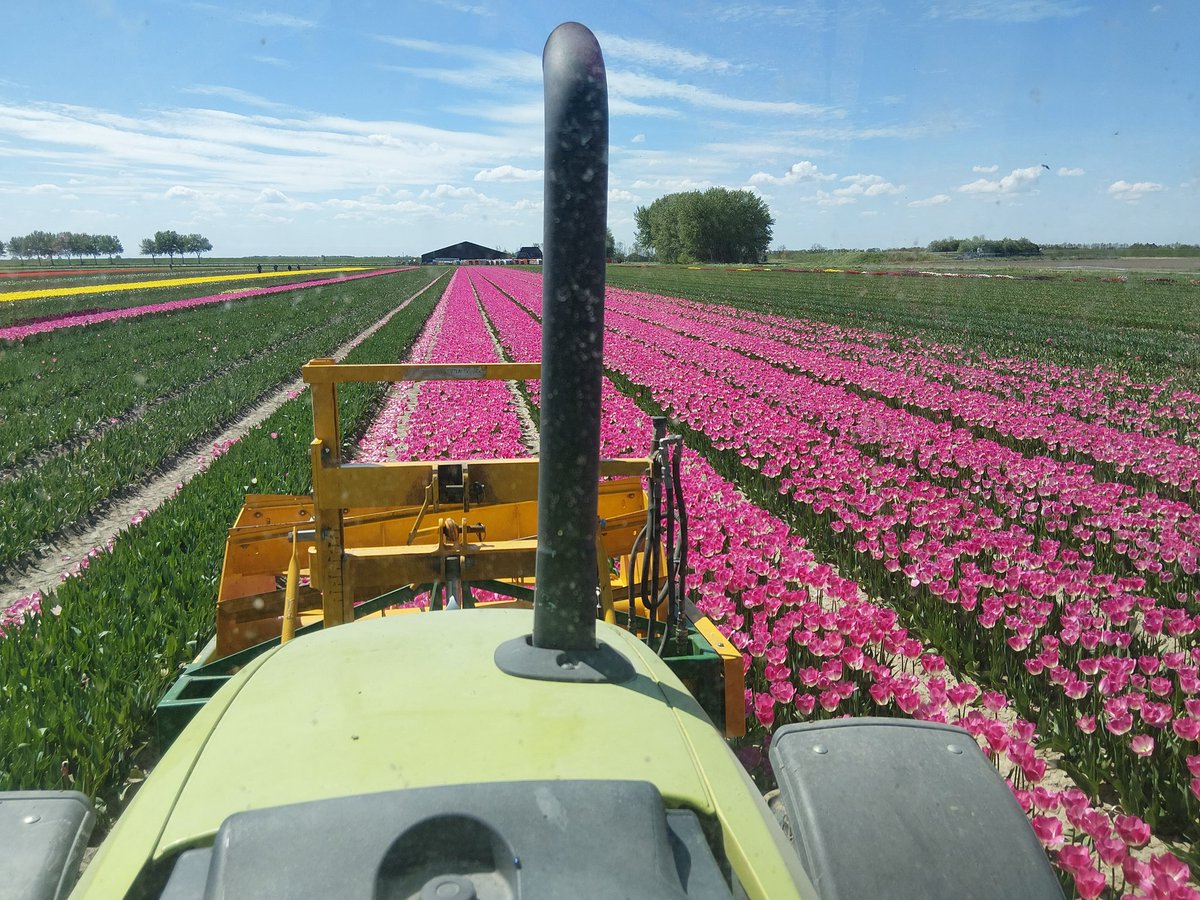 teamagronl tweet picture