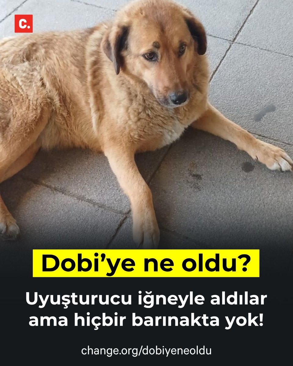 Change.org Türkiye tweet media