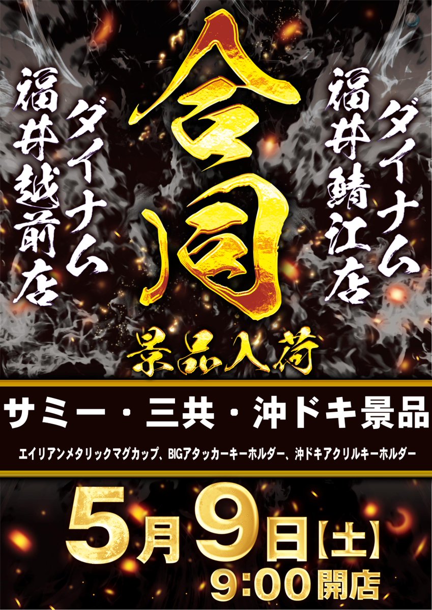 ダイナム福井越前店 tweet media