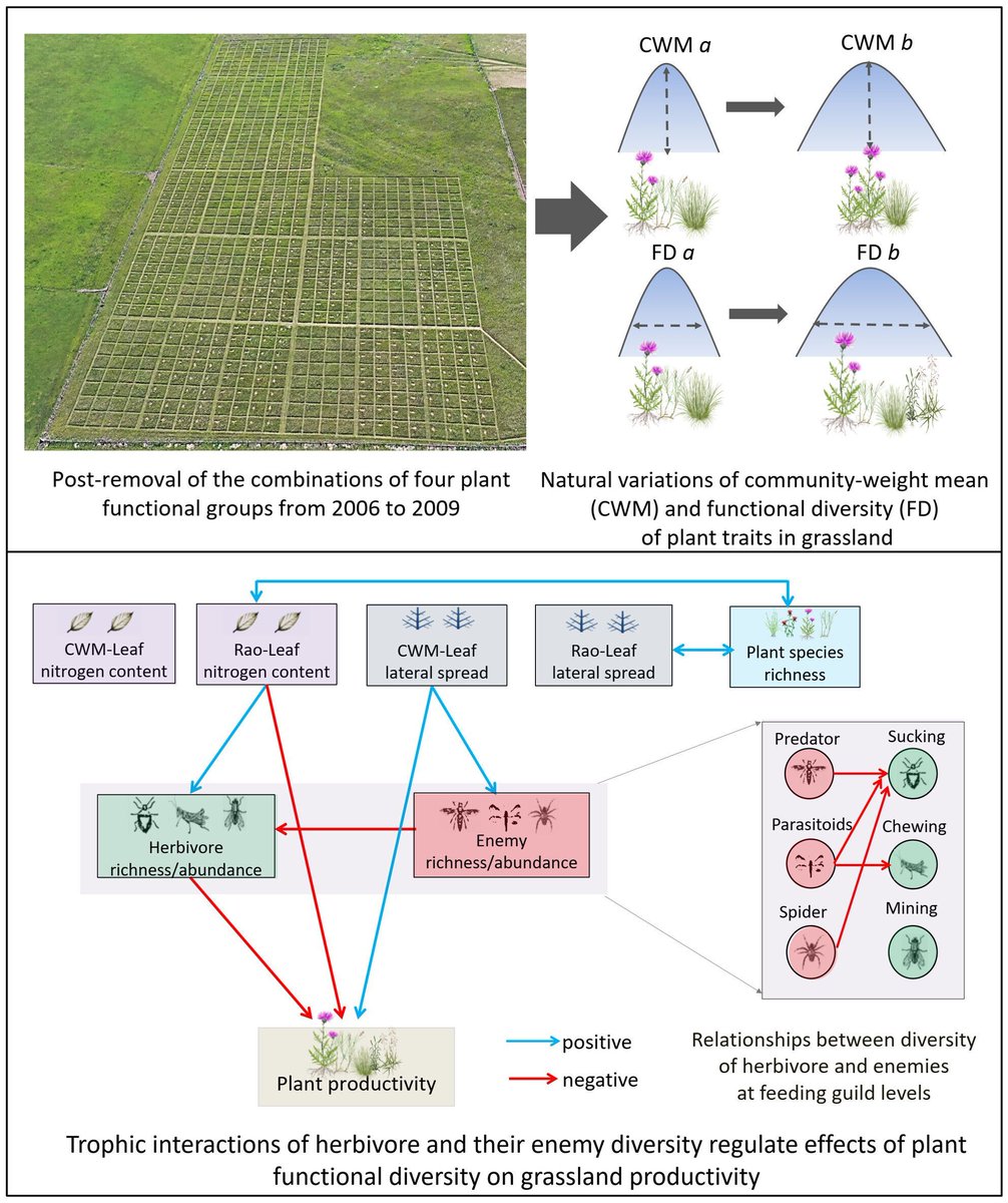 Journal of Ecology tweet media
