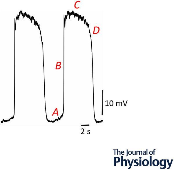 Journal of Physiology tweet media