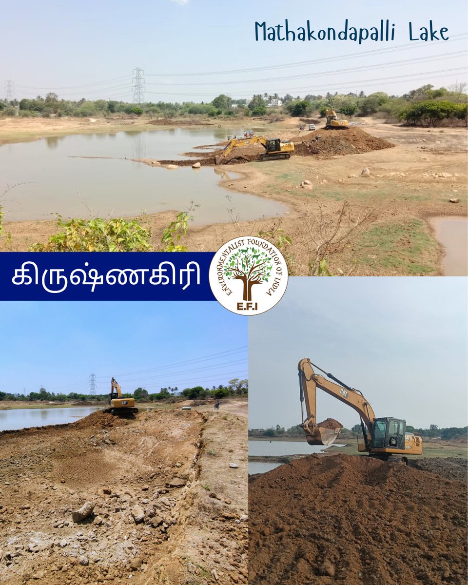Environmentalist Foundation of India tweet media