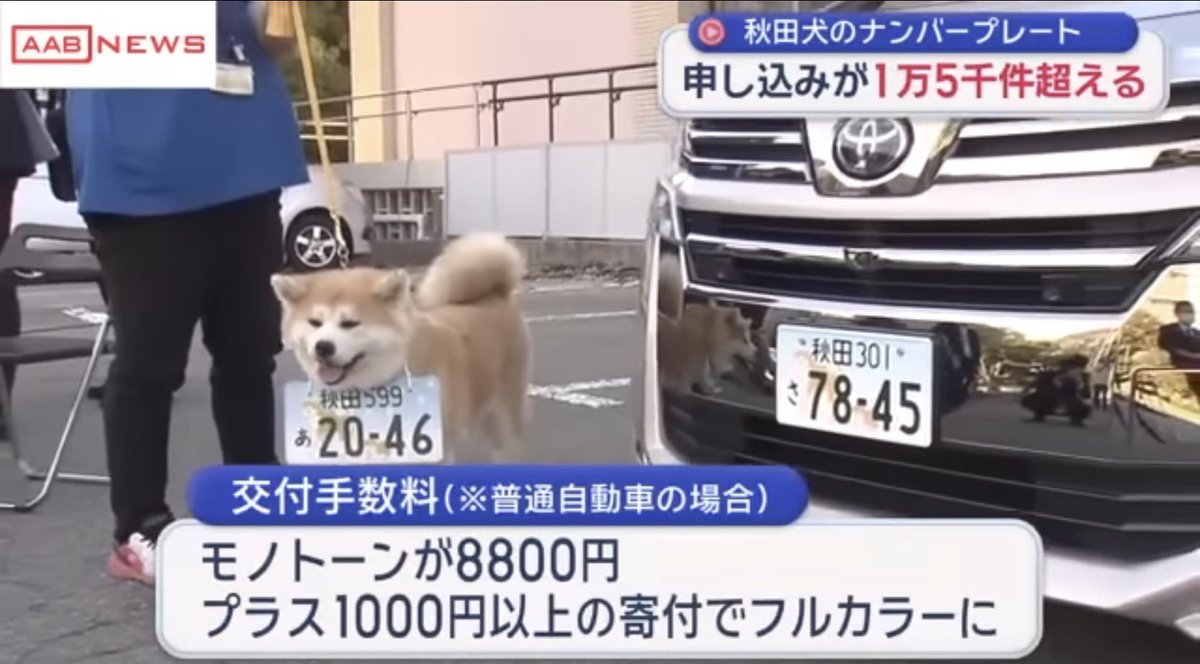 安心院バク tweet media