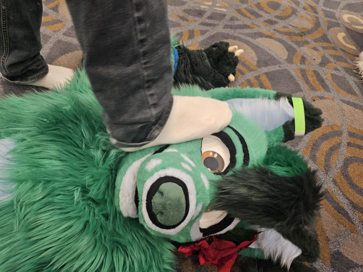 💚🐾Duke Doggo🐾💚 tweet media