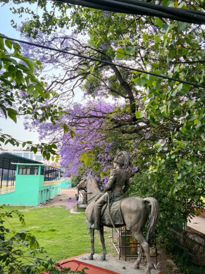 ज्याकराण्डा २०८३💜 

मान्छेको खेला एकातिर, प्रकृतिको लय एकातिर 💮