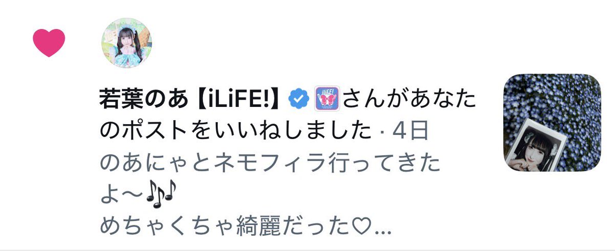 🥥 tweet media