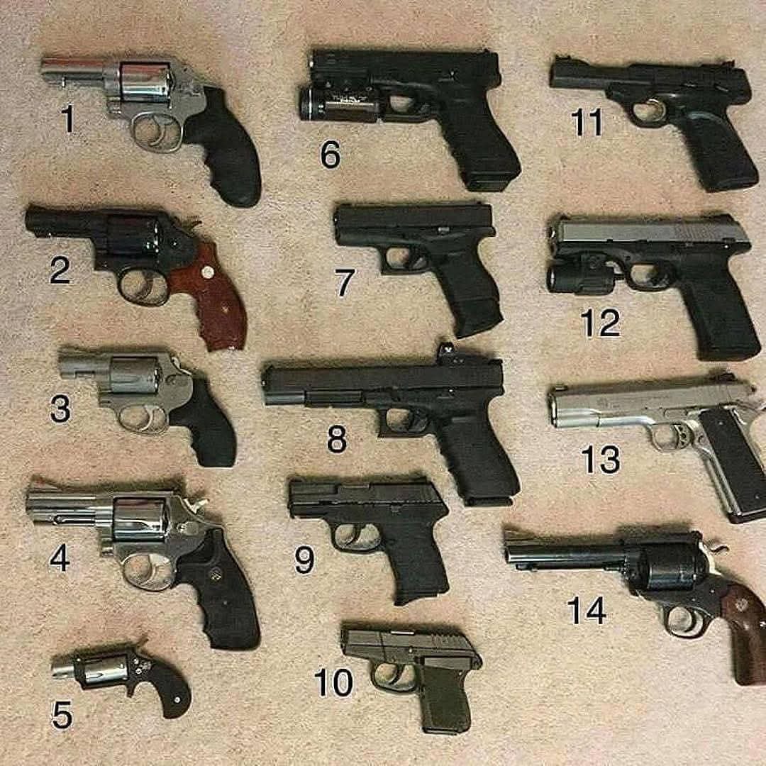 The Gun Enthusiast tweet media