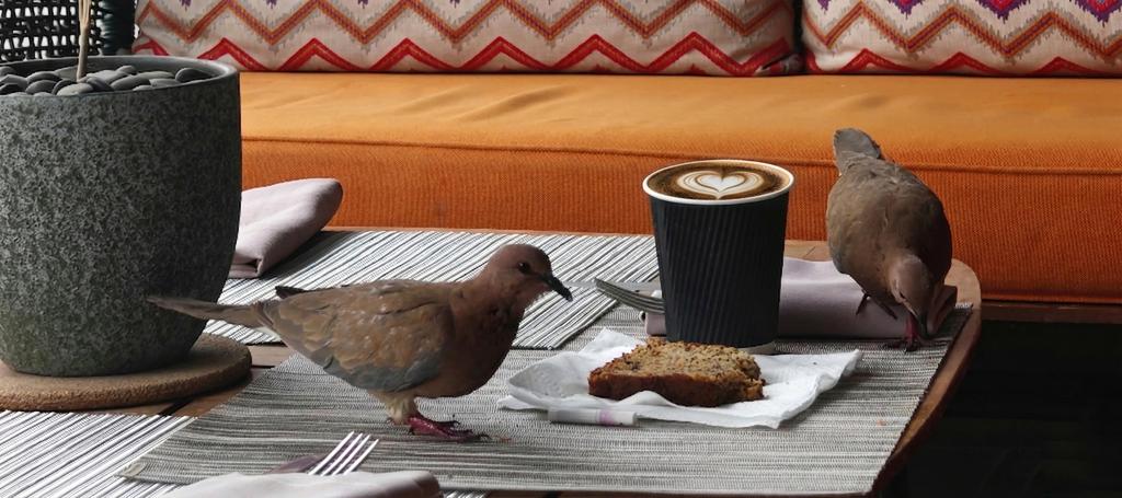 hattanm2013's tweet photo. ❤️🐦 https://t.co/EN4zRLfhCm