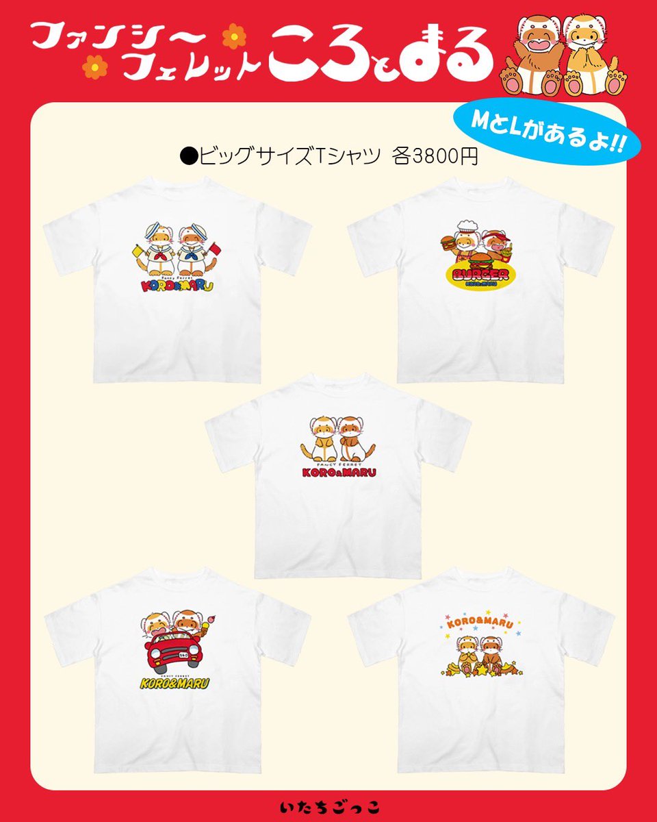 ころ&まる🌷 tweet media