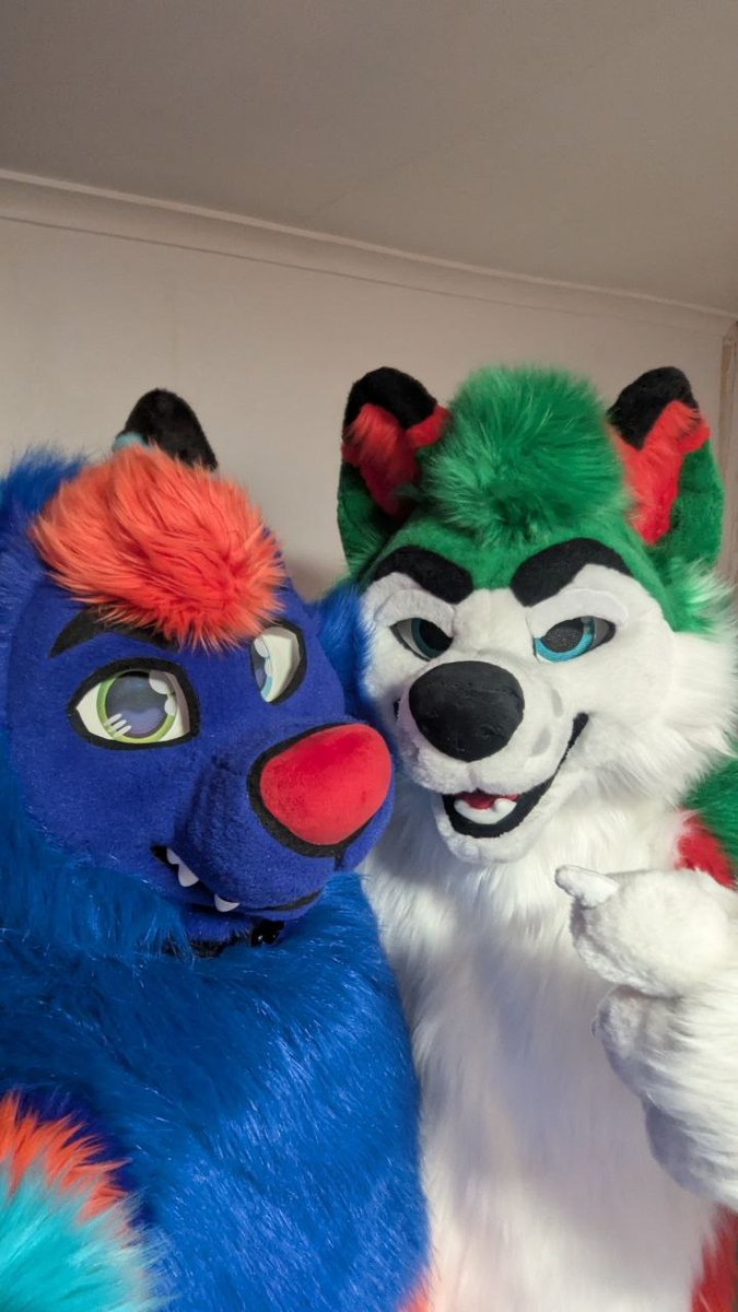 castrol_coyote's tweet photo. After being in the fandom for like 10+ years I can finally post my first #fursuitfriday .

Had this guy turn up in the post yesterday, thank you to @TheKarelia for doing an awesome job of bringing him alive! 

@odifusky 
@TheKarelia 
@FurryFursuit_M https://t.co/LLHfkmakkL
