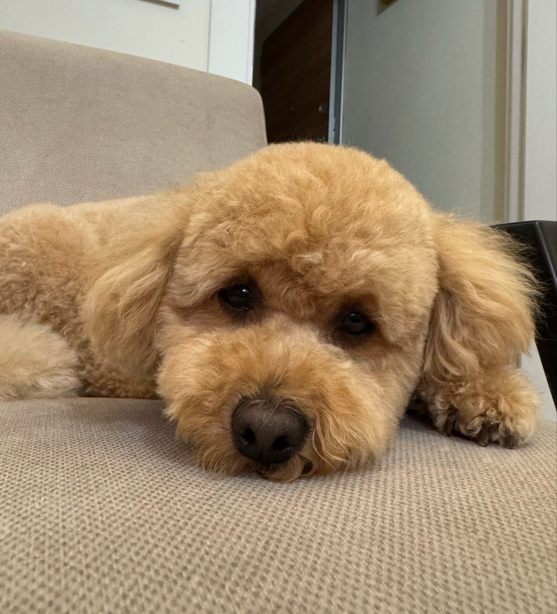 Teddy 🧸 tweet media