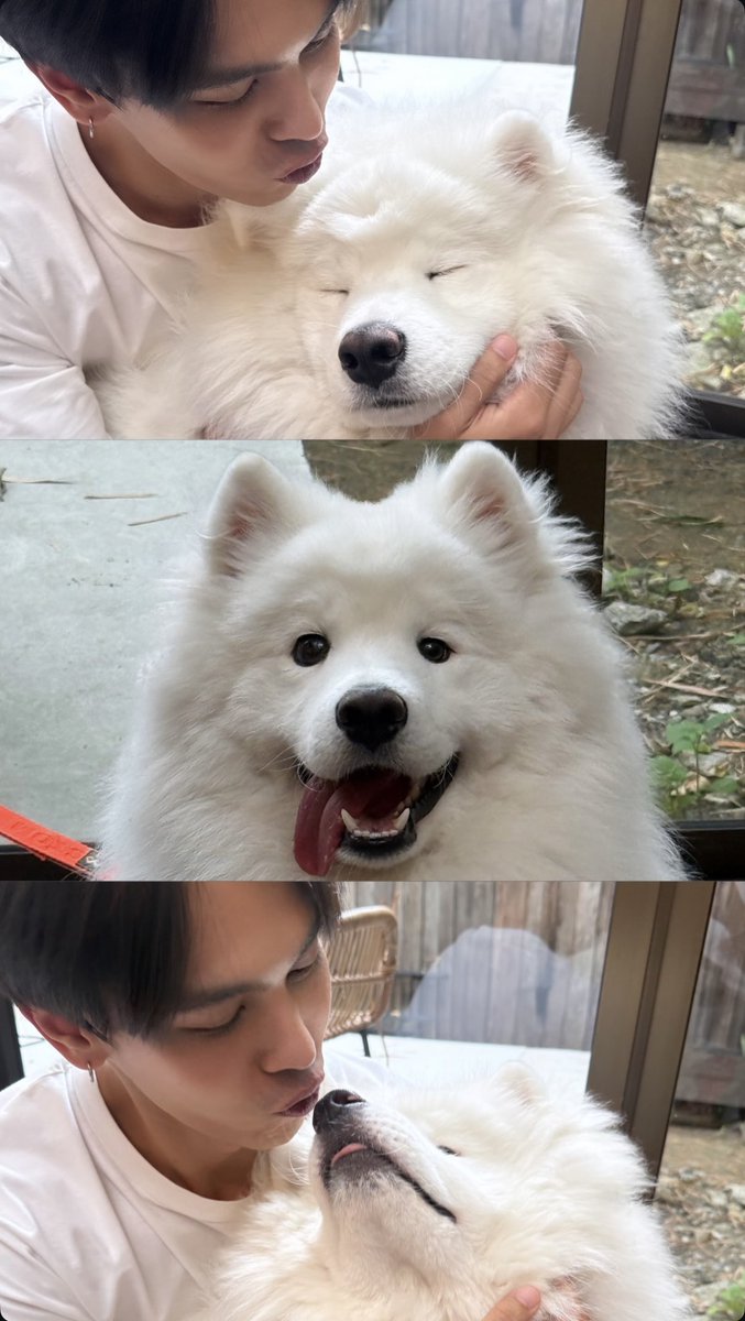 TREPORAPATFC's tweet photo. [treporapat] IG Story Update 

หวัดดีฮะ แหะๆ 🐶 

#treporapat
#ตรีภรภัทร https://t.co/zISMOyDS3H