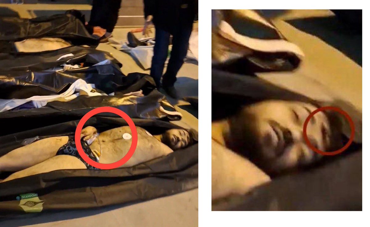 به یاد تمام مجروحانی که در بیمارستان، با دست‌های بسته، تیر خلاص به سرشان زدند
ما نه می‌توانیم، نه حق داریم، و نه اجازه داریم کم بیاوریم.
 عقب‌نشینی خیانت است
ما تا آخرین نفس،تا آخرین قطره خون 
ادامه می‌دهیم.
#IranMassacre 
#جاویدشاه