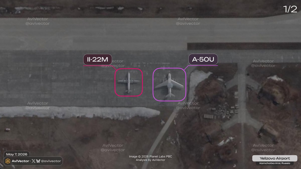 AviVector tweet media