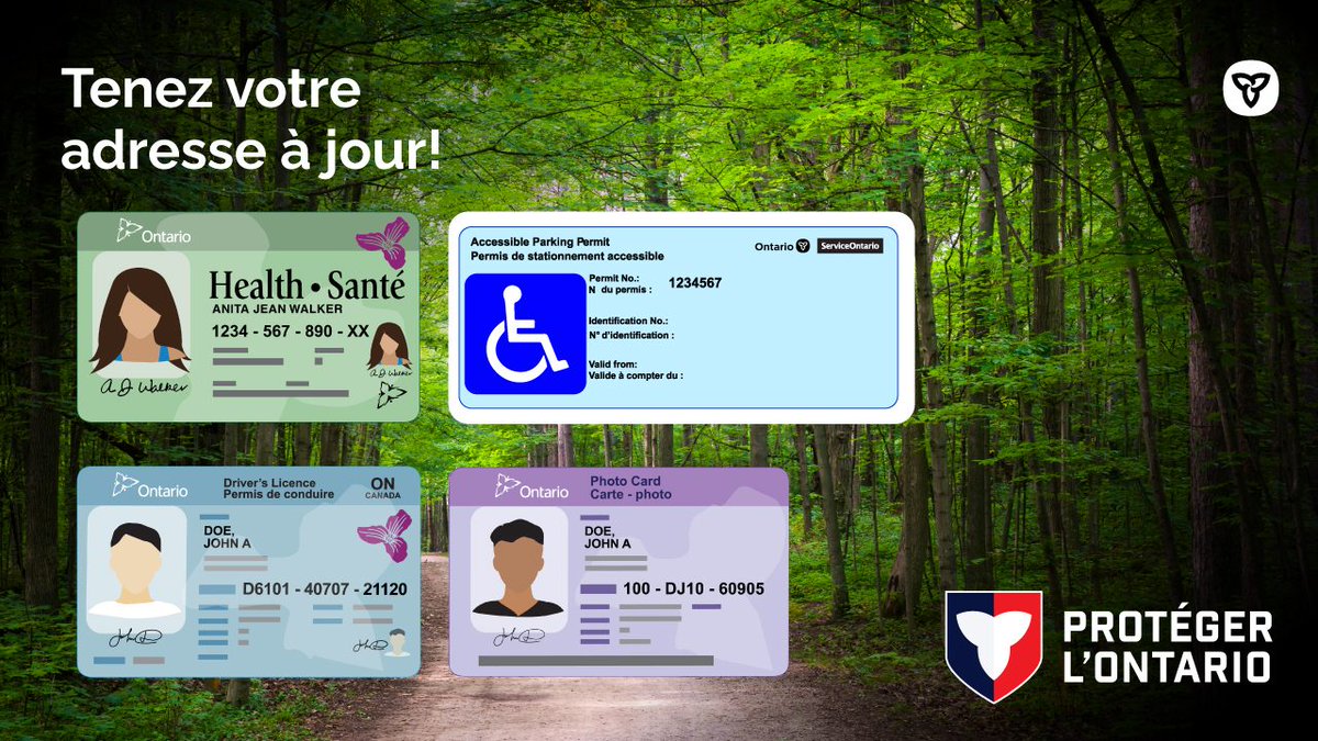 ServiceONT's tweet photo. Vous venez de déménager? Mettez à jour votre adresse sans souci !

✅Permis de conduire 
✅Carte Santé 
✅Carte-photo de l’Ontario 
✅Permis de stationnement accessible

Faites tout en ligne, à un seul endroit. Votre déménagement sera simplifié.

https://t.co/xVnNEe7D7V https://t.co/jVSjYPfv9o