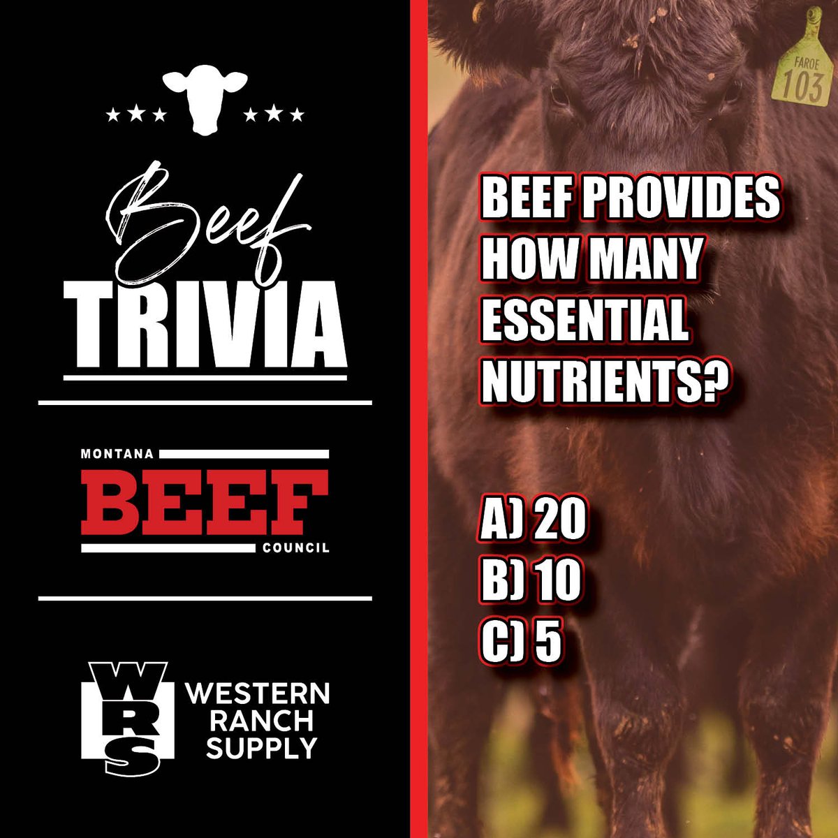 Western_Ranch's tweet photo. Beef Month Trivia!
Beef isn’t just tasty—it’s packed with essential nutrients. But how many do you think it provides?

Put your answer in the comments and let’s see who knows their beef! 👇
#BeefMonth #BeefNutrition #BeefTrivia #WRSBeef #EatBeef #ProteinPower https://t.co/DWRzxsdYc5