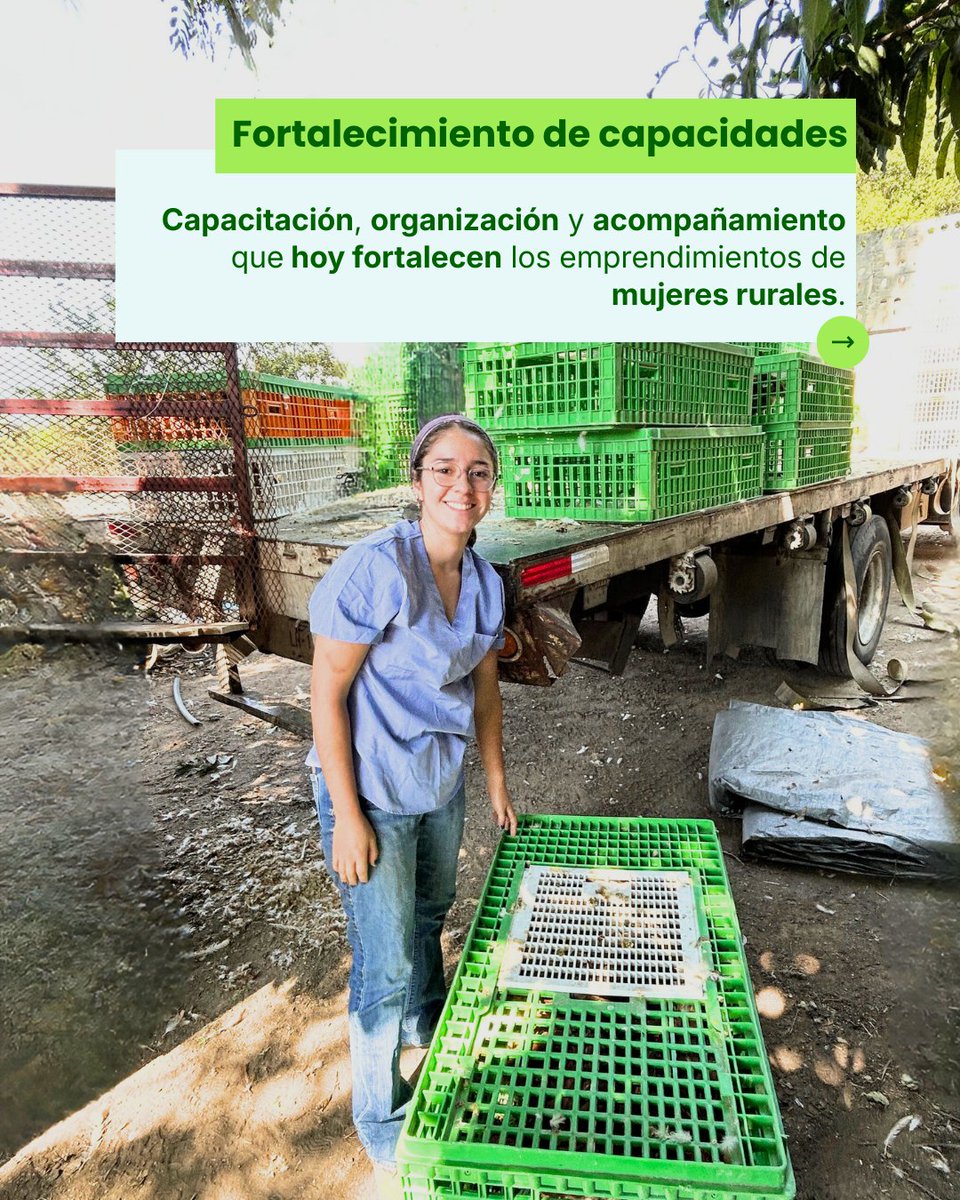 Educampo MX tweet media